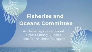 Commercial Crab Fishing Quotas & Transitional Support