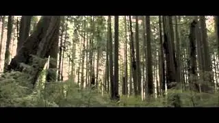 twilight breaking dawn two worlds