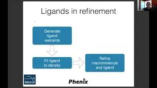 Phenix Workshop 4/14/2021 (cryo-EM) - Restraints in Phenix