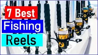Best Fishing Reels - 2026 | Top 7 Best Fishing Reels - Reviewed