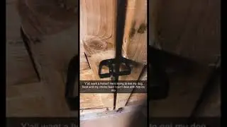When a horse learns to open doors #caughtin4k tt\blkcowgirl88