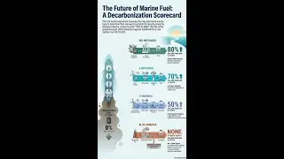 Life Cycle Assessment of Low-Carbon Maritime Methanol and Ammonia