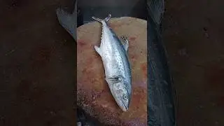 The Real Surmai Fish Cutting Skills#shorts