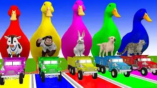 Long Slide Game With Cow Elephant Gorilla Hippopotamus Tiger 3d Animal Game Funny 3d Animals