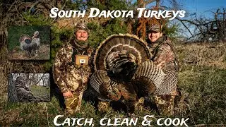 South Dakota Turkey Catch, Clean & Cook (Two Birds Down)