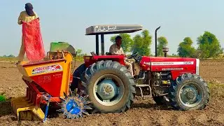 Potato planting with MF 385 4x4♥️