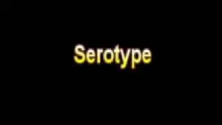 What Is The Definition Of Serotype Medical School Terminology Dictionary