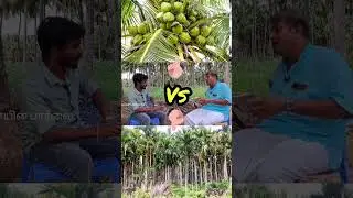 2.5 லட்சம் 1 ஏக்கரில் வருடம் பாக்கு தோப்பில் வருமானம் | pakku thoppu | coconut tree farming |