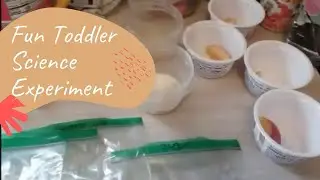 Science Experiments For Toddlers | Preschool Science | Agnes Grabinski