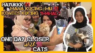 Kontes Kucing Mahal &ldquo; one day closer with cats &ldquo; Palembang Indah Mall&rdquo; || Komunitas ICA Palembang
