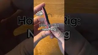 How to rig a Ned Rig #fishing #fishingtips #howto #bassfishing