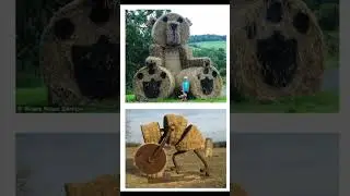сельское исскуство из соломы #природа #кино #nature #rec #фильм #осень