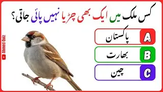 General Knowledge Quiz in Urdu | GK Questions | Interesting Facts | Urdu Quiz