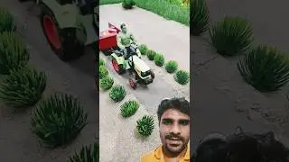 Building a Miniature Toy Rural Project - A Tiny Village in My Backyard | #shorts