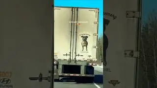 A Heartfelt Tribute Rolling Down the Highway