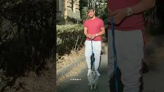 Ag eu at&eacute; intendo...