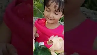 #manasvini #cutebaby #love #bhojpuri #shorts #shortvideos