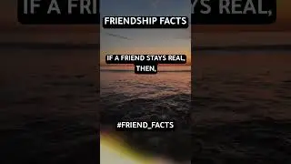 Friendship Inside Facts #friendshipfacts  #shorts