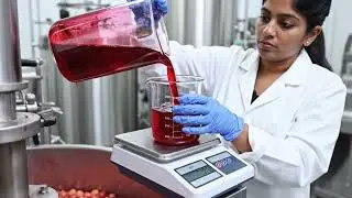 Inside a Modern Cherry Processing Plant 🍒 | From Harvest to Premium Quality Cherries