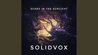 Scars In The Sunlight