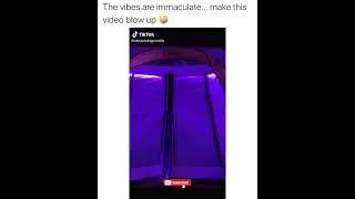 ONLY VETS CAN WATCH THIS! 🐕&zwj;🦺 #memes #meme #MemeFever
