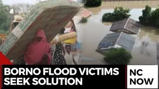 Borno Flood Control: Residents Create Alternative Solutions
