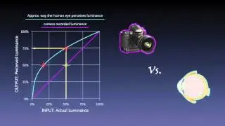 Color Management &ldquo;Lost Tapes&rdquo; Part 11 &ndash; Linear Capture and Gamma Encoding