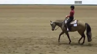 Horsemanship patterns judging practice videos