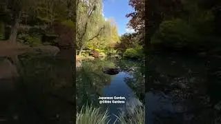 Tranquil Japanese Garden at Gibbs Gardens #garden #gardentour #japanesegarden