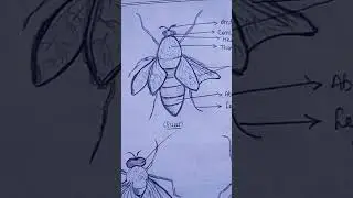 #biologystudy
