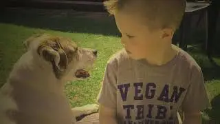 Animal Rescue Stories | The Goode Life UK (Home for Old, Disabled & Abused Animals)