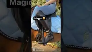 Magic stirrups 🤩 with over 1500 5-star reviews, only at ophena.com