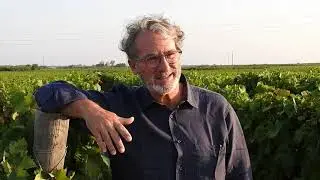 Gianfranco Fino Viticoltore - Vendemmia 2020