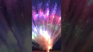 Fight Fireworks Bloom! #fireworks
