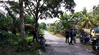 Susana Natal Di Desa Seberkat Kecamatan Tebas 2024