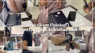 FAAL PRAKTIKUM MUSCLE STRENGTH KELOMPOK D3