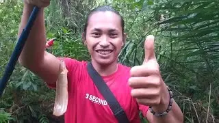 TESTING UMPAN JITU DAN AMPUH UNTUK MANCING IKAN LELE LIAR