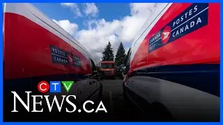 Business analyst applauds Canada Post&rsquo;s decision to reduce home delivery