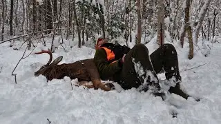 TRACKER | Hunting in the Big Woods | 2024