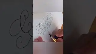 ✒️ Let's flourish! #calligraphy #flourishing #dippen #calligraphypractice #calligraphychallenge