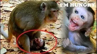 MG! Poor Skinny Alba So Hungry Milk and Was Bad Mum torturing Alba Not Her Daughter Without Heart
