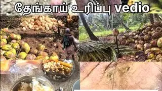 My one day life #உழைப்பு #coconut #food #trendingshorts