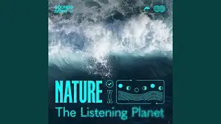 Florida Oceanic Overture