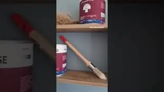 Notre peinture &laquo; L&rsquo;ELEGANTE Mate &raquo; est parfaite pour les murs et plafonds