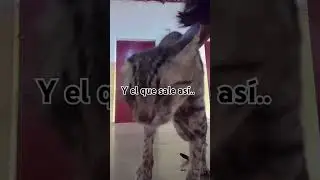 11 de enero de 2026