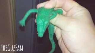 Lizard PRANK on girlfriend!