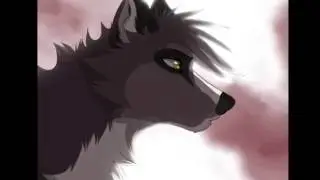 We are stars - Anime Wolves