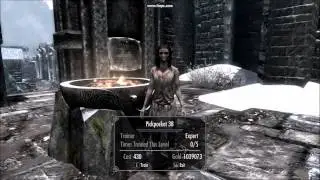Skyrim training doesn't increase skill