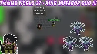 TibiaME WORLD 37 - KING MUTABOR DUO WITH LVL290 !!!