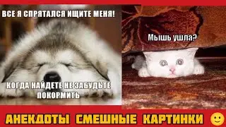 ВСЕ Я СПРЯТАЛСЯ ИЩИТЕ МЕНЯ!КОГДА НАЙДЕТЕ НЕ ЗАБУДЬТЕ ПОКОРМИТЬ ! смешные картинки и весёлая музыка 
